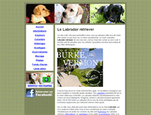 Tablet Screenshot of infolabrador.com